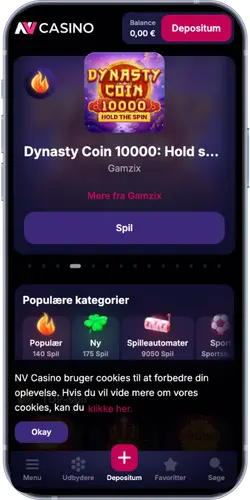 NV Casino kontooversigt efter succesfuldt login
